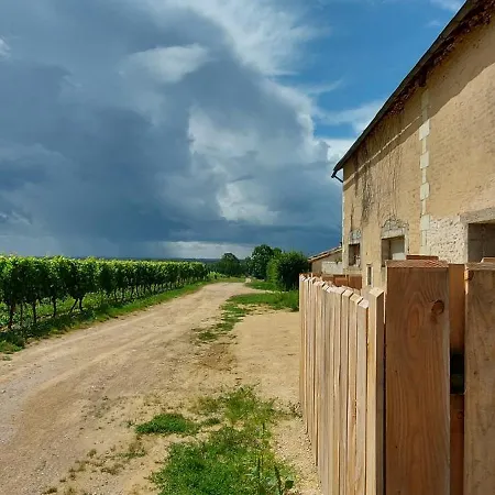 Le Saint Martin Le Cosy 1 - 4 Pers