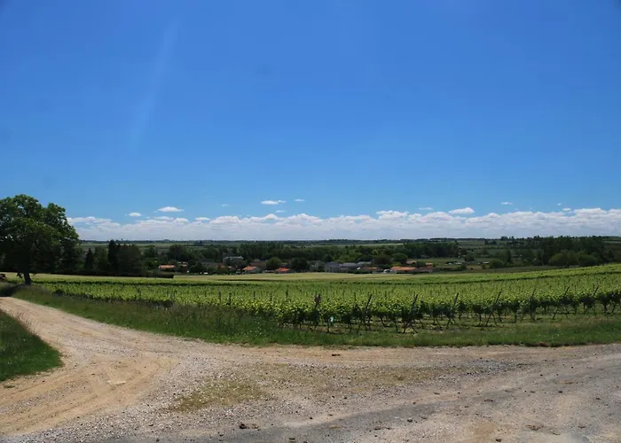 Lejlighed Le Saint Martin Le Cosy 1 - 4 Pers Blaslay