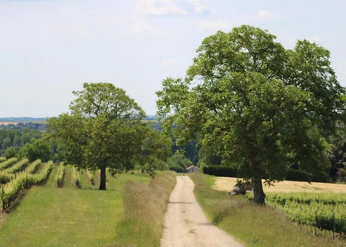 Lejlighed Le Saint Martin Le Cosy 1 - 4 Pers *