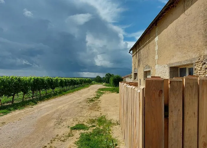 Le Saint Martin Le Cosy 1 - 4 Pers